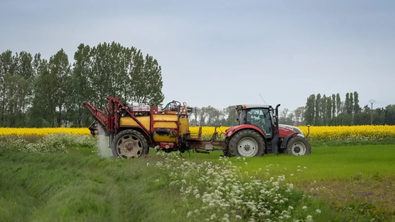 Selektivní herbicidy pro trávník jak je používat